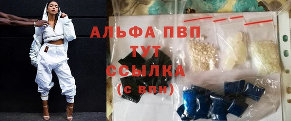 шишки Костерёво