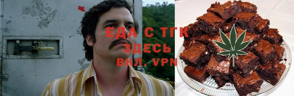 индика Сясьстрой