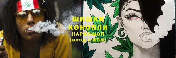 шишки Костерёво