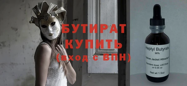 амф Тайга