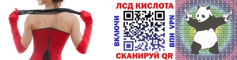 Купить закладки  Злынка  Наркотические марки 1,5мг 