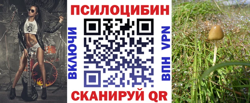 Псилоцибиновые грибы GOLDEN TEACHER  Купить где  Злынка 